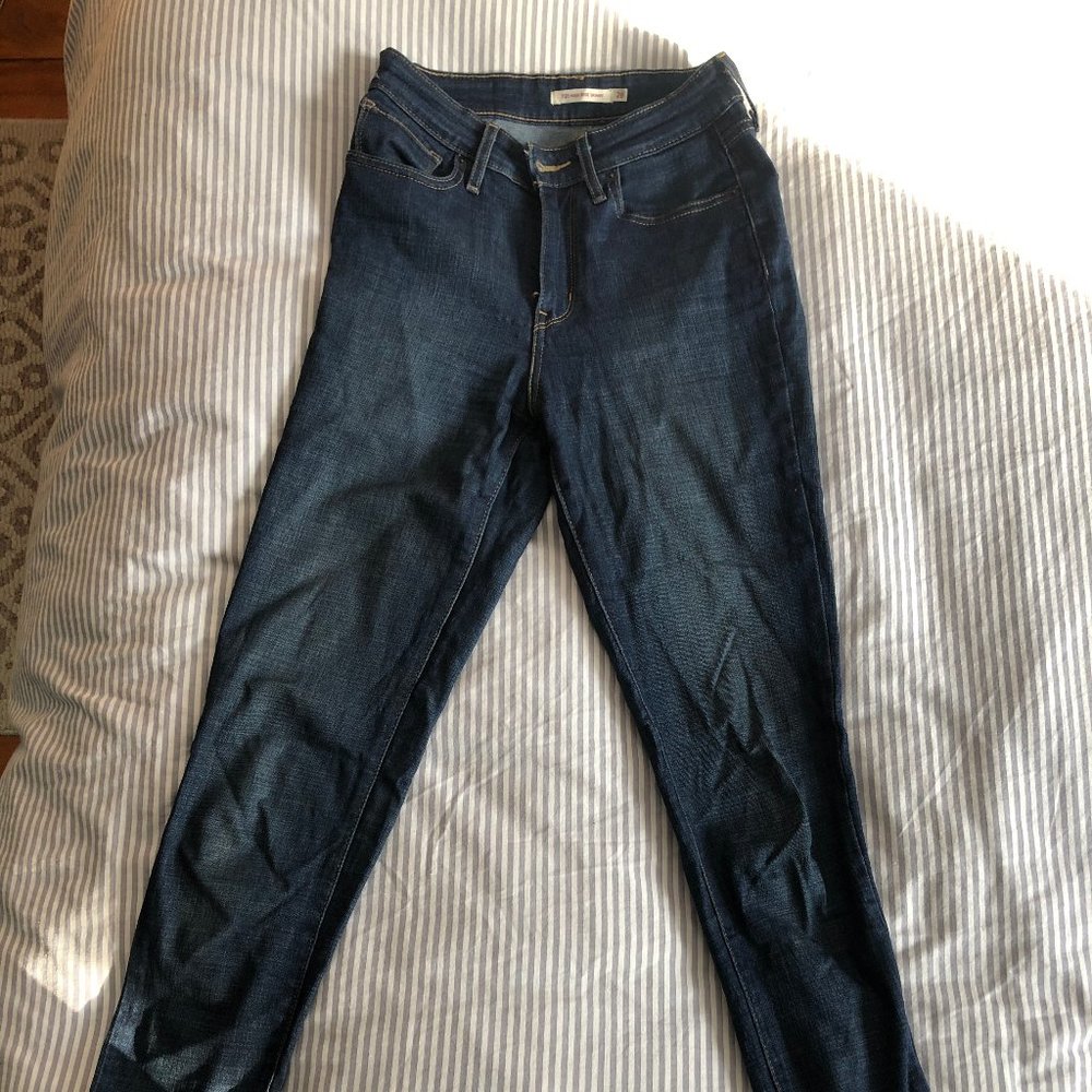 Levis 721 High Rise Skinny 28x32 (Blue Story)